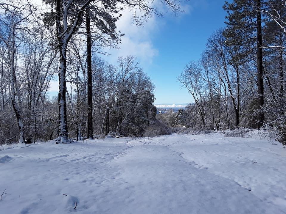 Looking down the canyon