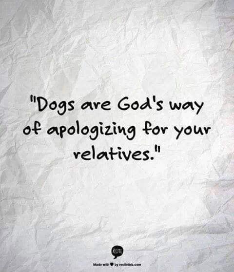 Funny and true !