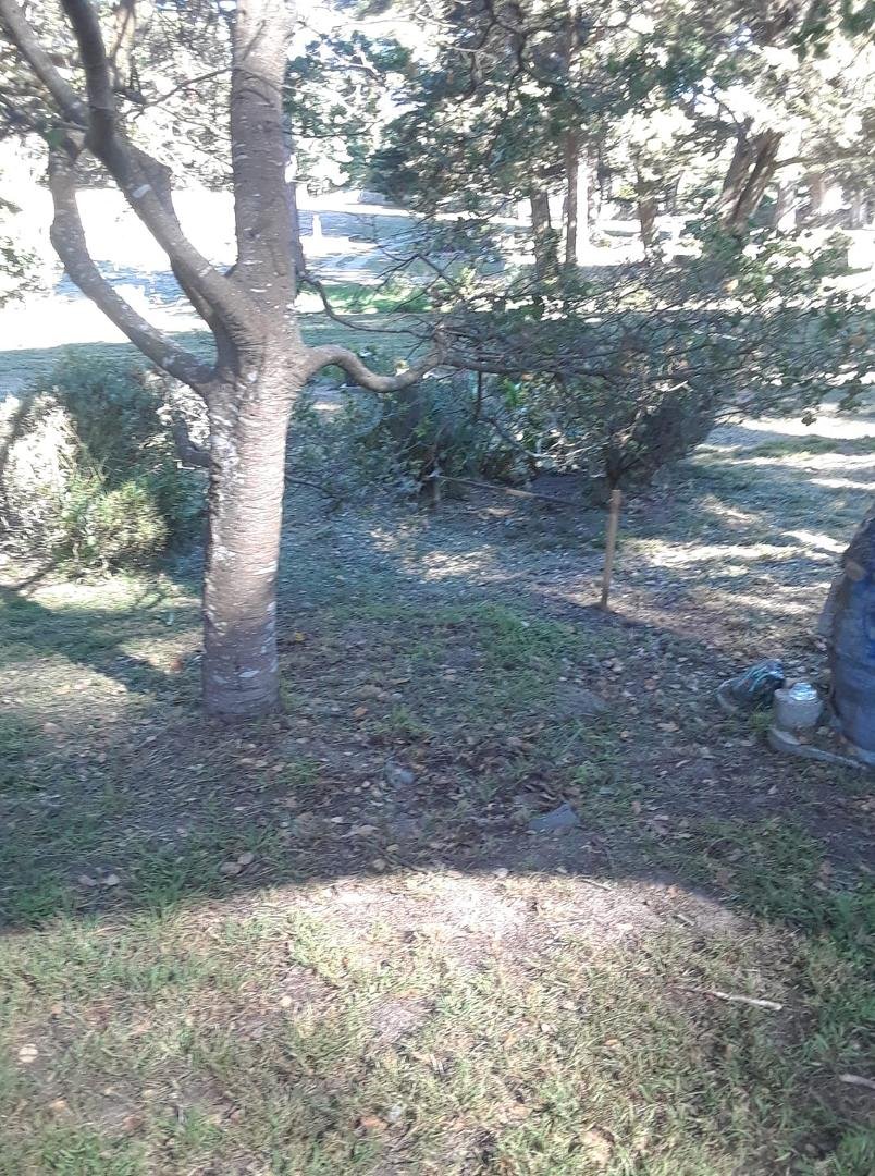 My father was buried next to the oak tree we planted after his death 47 years ago today. All our neighbors were there, along with family and friends. He died at the age of 40, so he's been dead longer than he lived. Sinc
