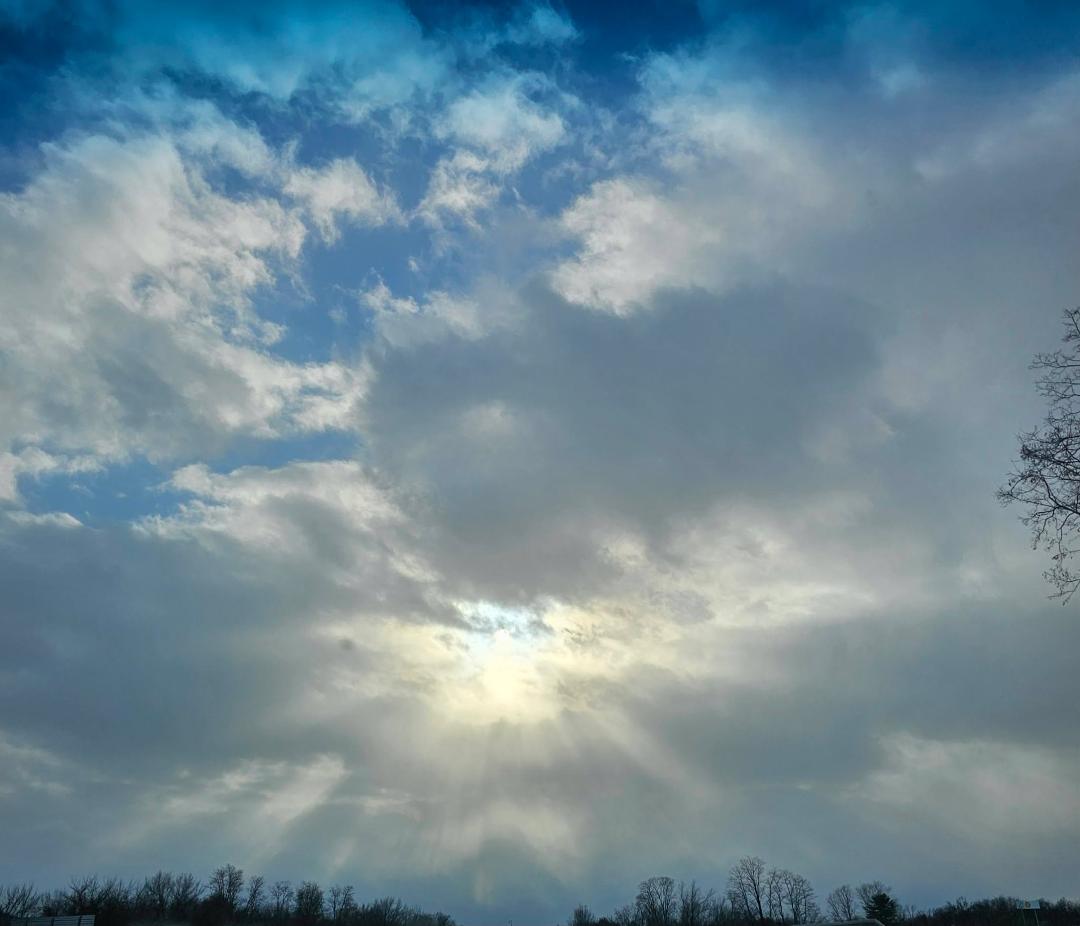 Lori Marchand's album, Mobile uploads