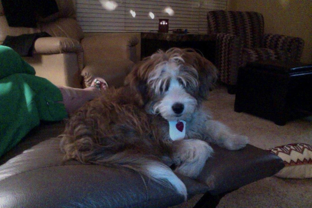 5 months old today