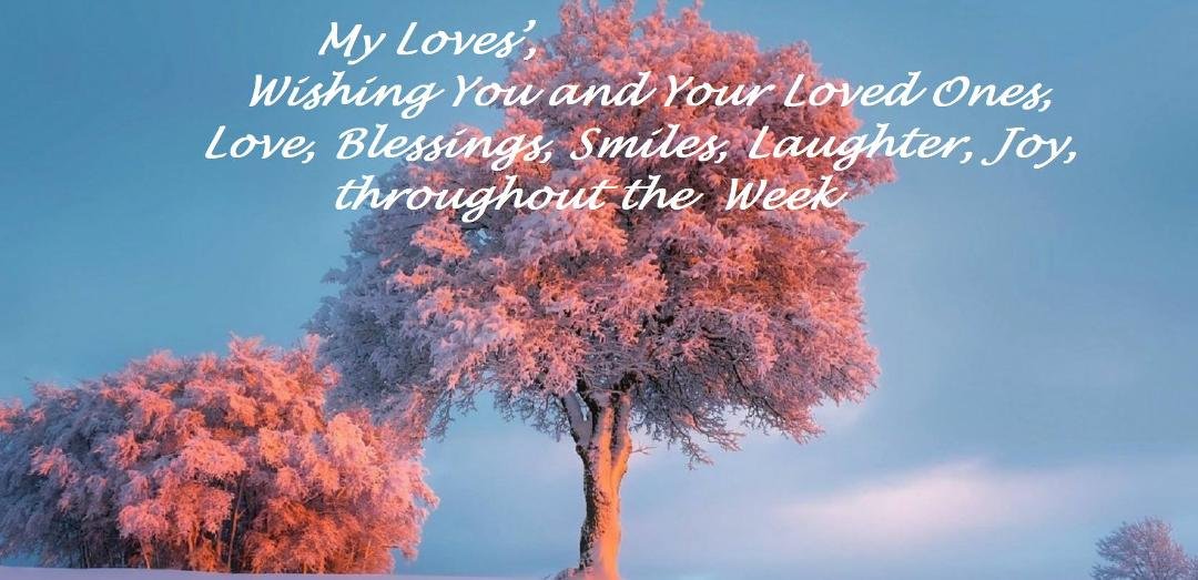 CHERYL SWARD's album, Timeline Photos