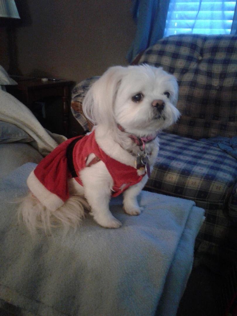 Merry Christmas to all our family & friends from Barbara & Trixie. Love you all!