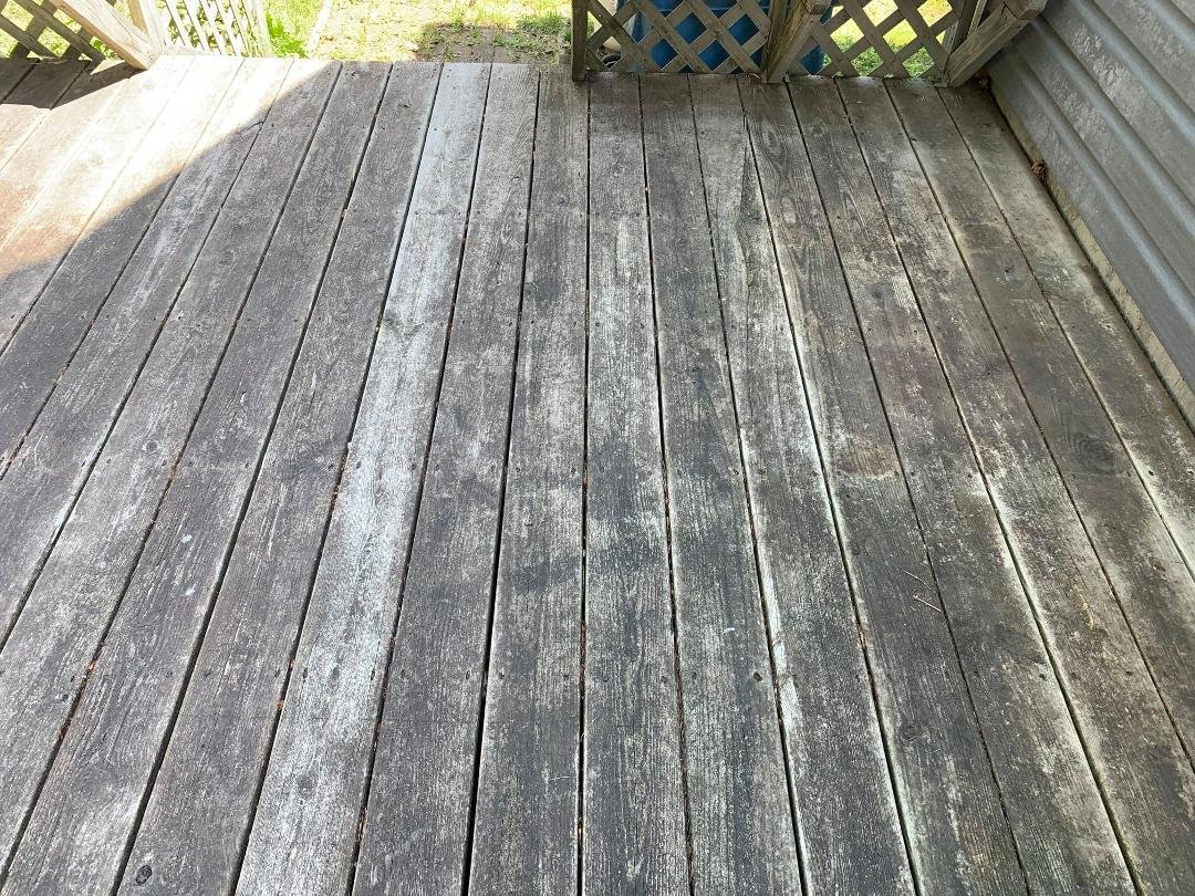 Wayne Owens' album, Timeline Photos