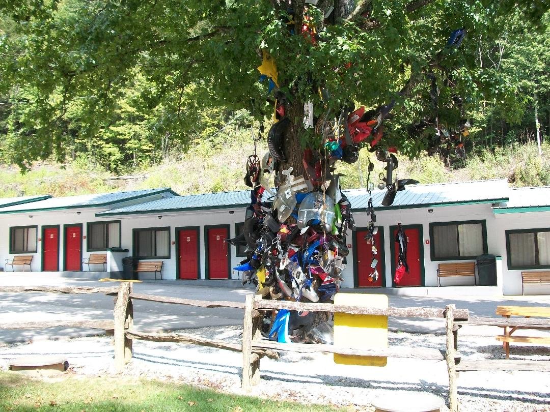 8-29-12 Just got back from my trip. Six of us went down to Tenn. to ride the dragon tail, and we did. As you can see in  the pictures some of the other folks didn't make it. Their bike parts are in a tree for a reminder tha