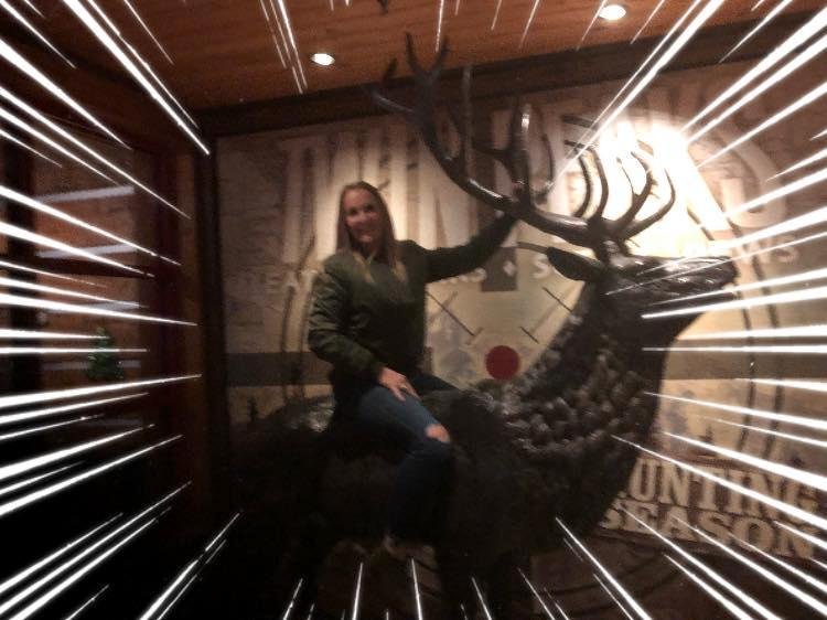 Laurie Solomon has always had a special bond with animals