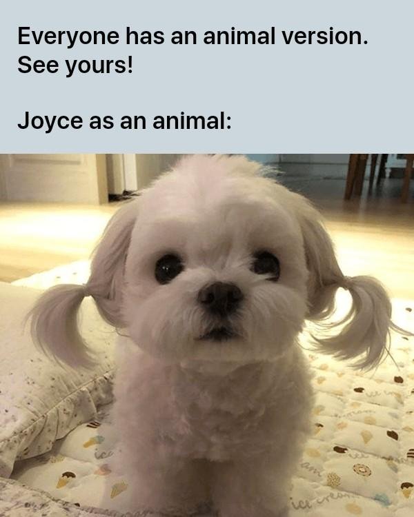 Joyce Berman's album, Timeline photos