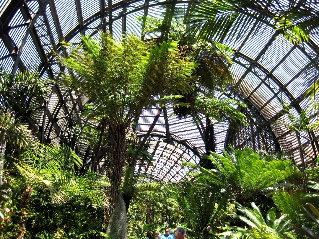 Phyllis Atha's album, Day at Balboa Park