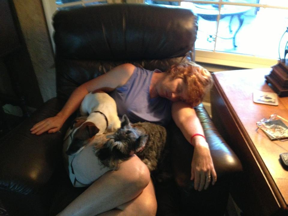 Barry Allphin's album, Mobile Uploads