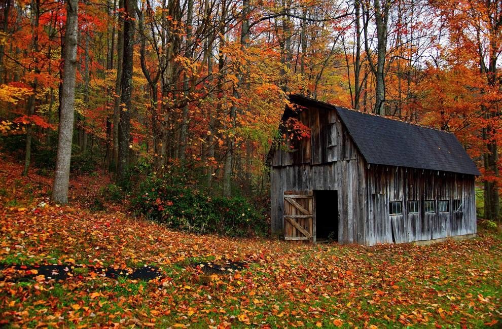 Phyllis Hoffman's album, Timeline Photos