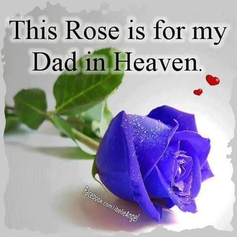 JOSEPH DUDAS's album, Timeline Photos