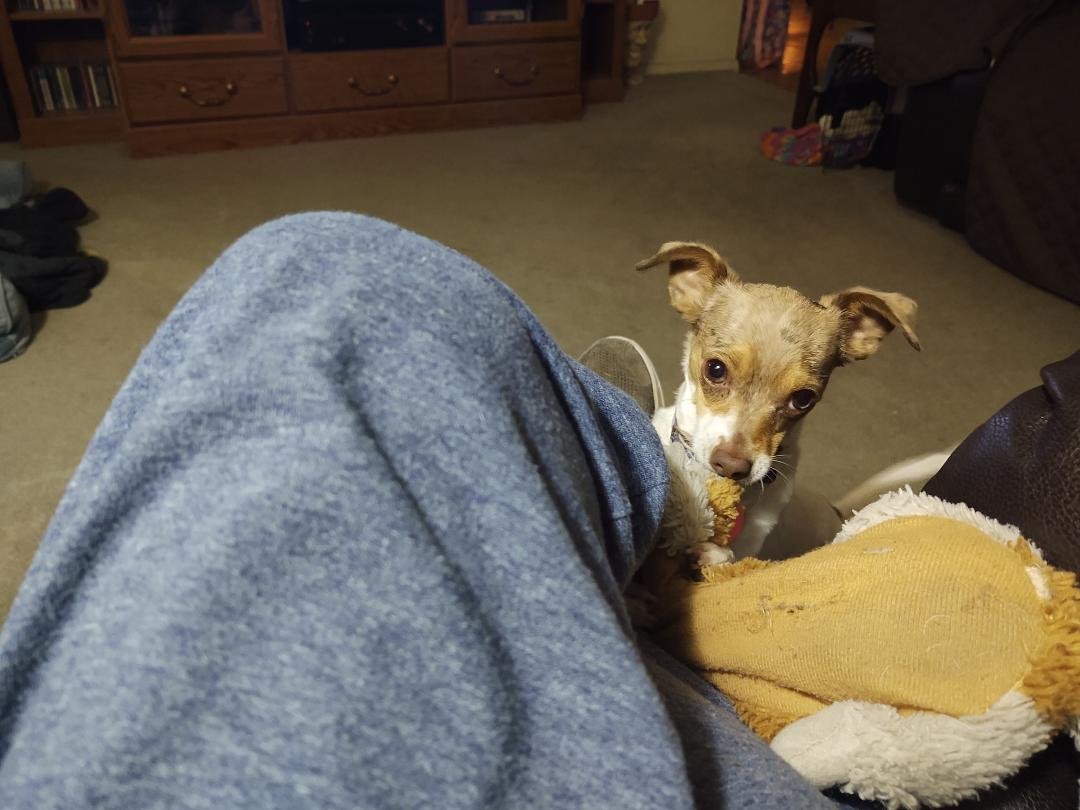 Throw it Daddy!