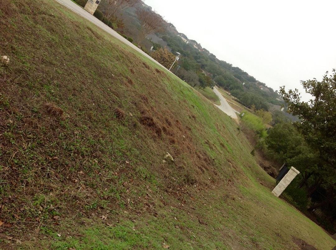 Gallagher's Meadow - so those of you FB neighbors that think I am loco spending hours yesterday removing all the weeds and brush from the native burm that boarders our yard now called "Gallagher's Meadow" I thought it best