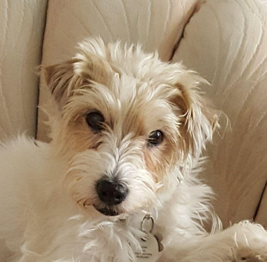 Happy 15th Birthday to my Sweetheart Wendy !!!