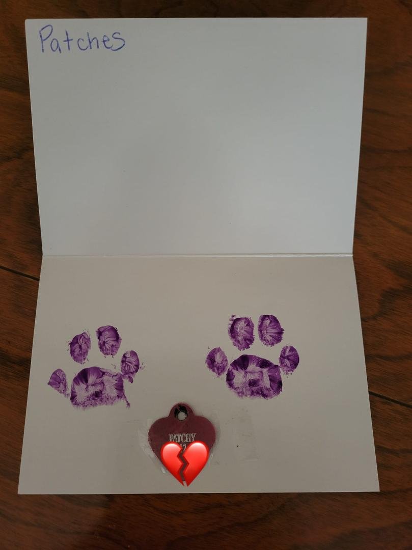 Jill McWilliams' album, Mobile Uploads