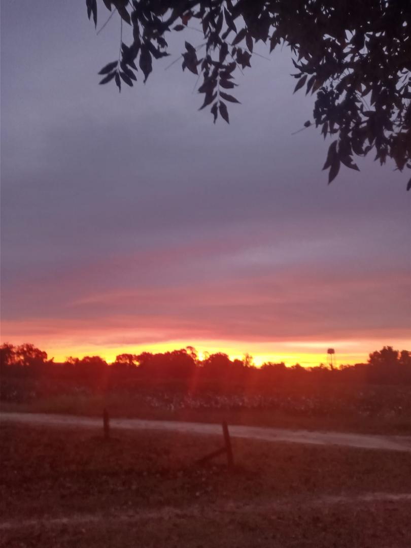 I took this beautiful picture this morning