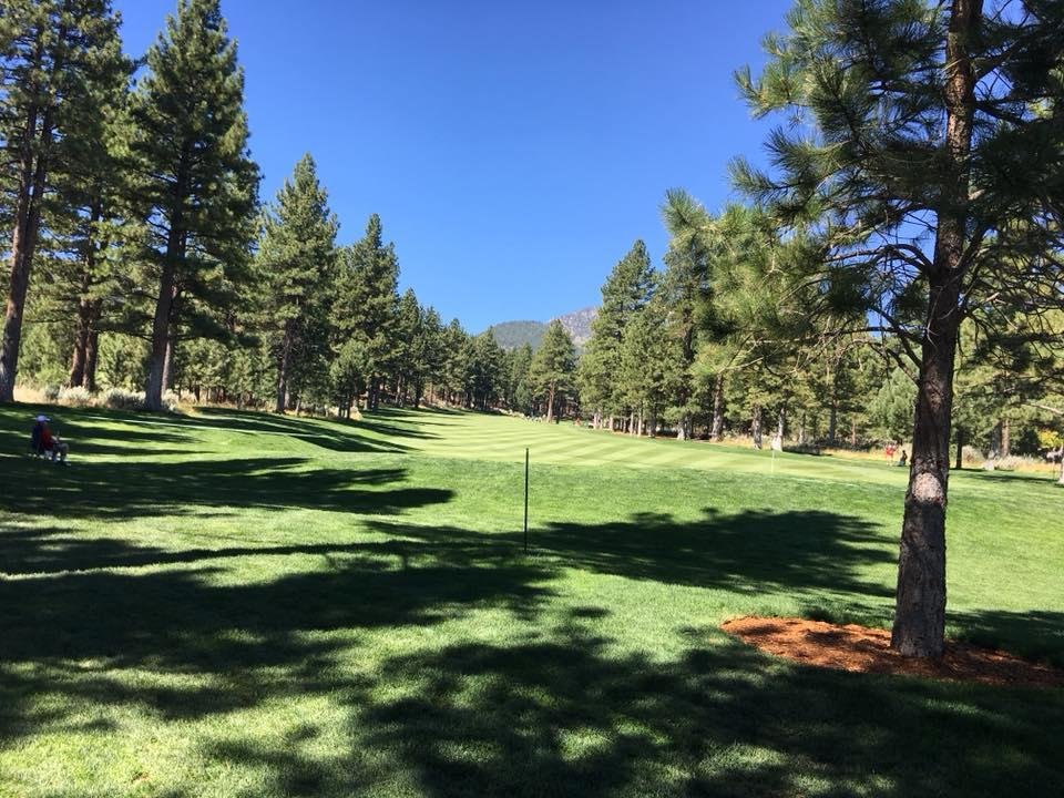 Thank you all for the birthday greetings that escorted me into my 70’s. I will always value your friendship. Today I focus on watching the pros golf!