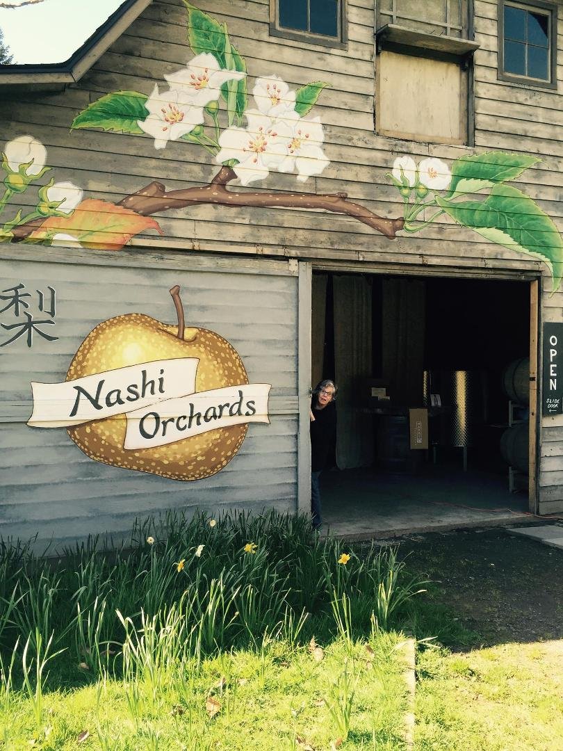 Vashon noshi orchard/winery. Sunshine!