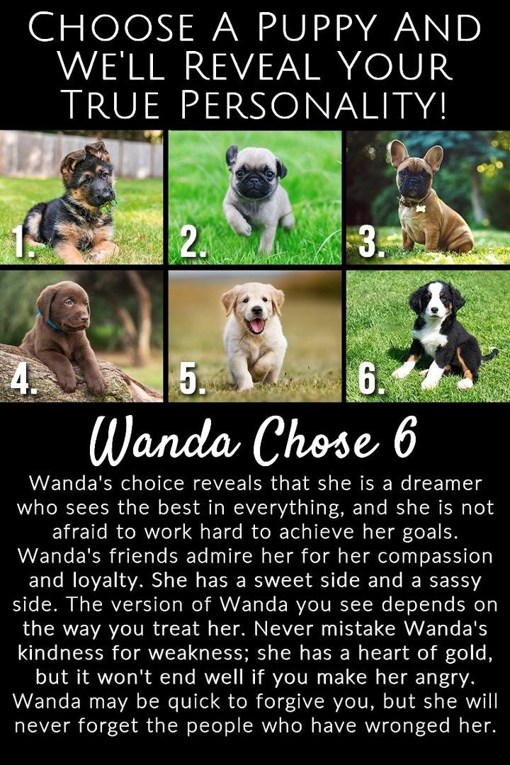 Wanda Krauter's album, Timeline Photos