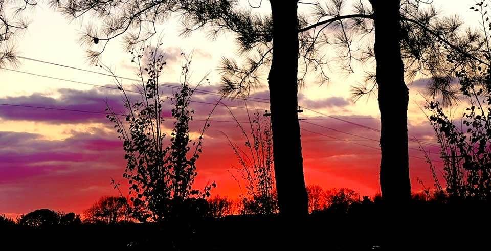 Nice Sunset today. Always in Awe in His creativity and Artistry! The creation has been cursed by the fall for many millennia, and YET it is still stunning beautiful! I look forward to the New Earth and Heavens, to see God