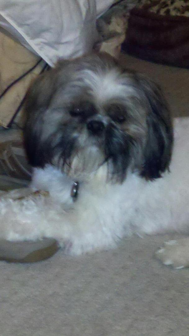 Bosley