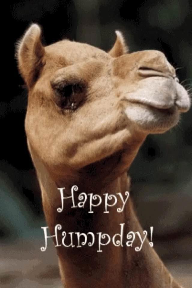 Sugar Shepard Arras' album, Timeline Photos