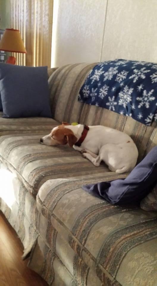 sandra engle's album, Timeline Photos