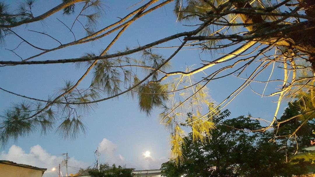 At Golden Thistle Hotel under a full moon.