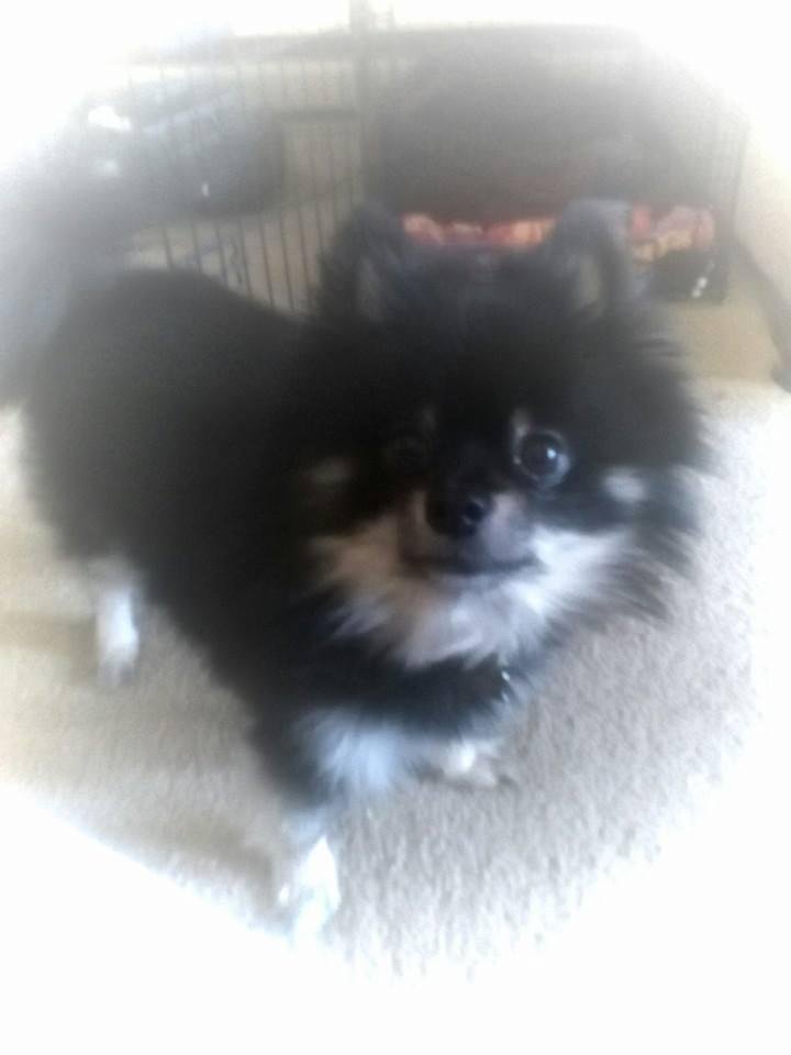 My baby.