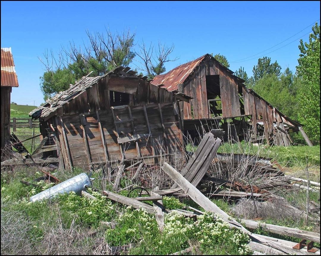 I don't know the history of this barn nor the land where it is located. It is about a mile from where my son lives in Boise. Rich with texture but non use and lack of care is bringing it down.
