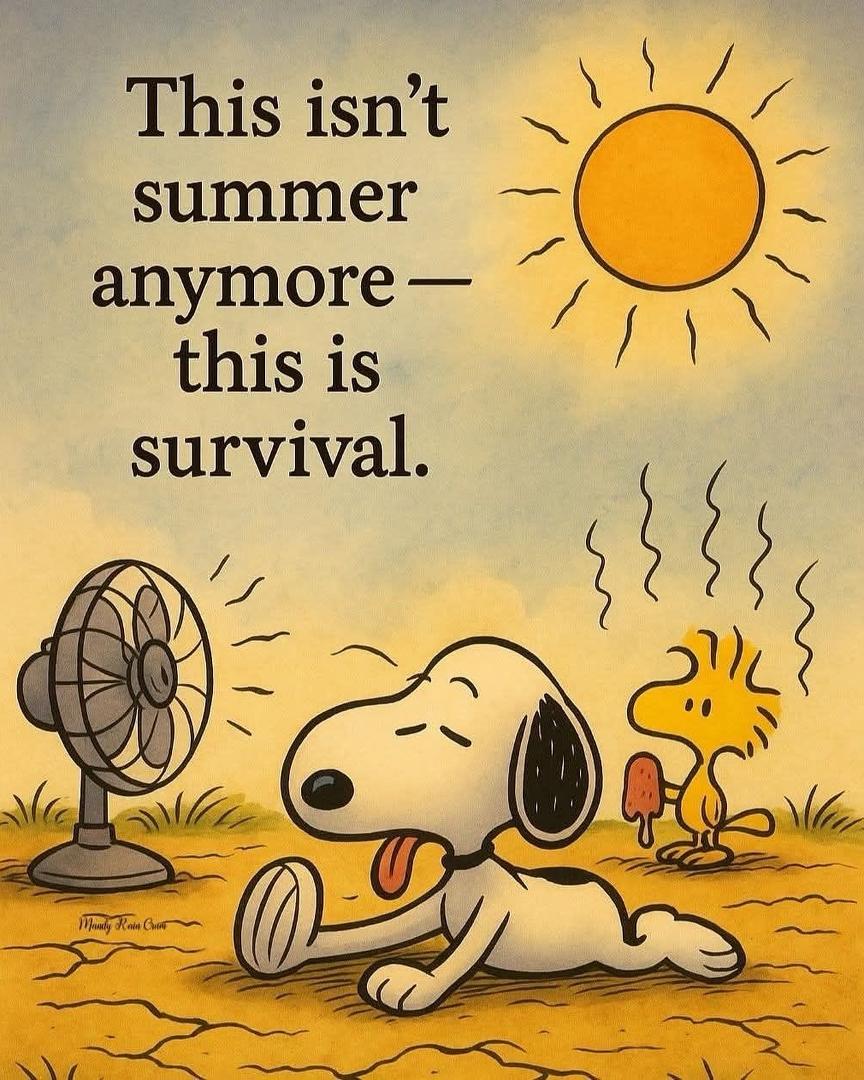 Debbie Gale's album, Timeline photos