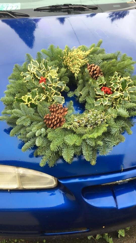 Kathy Frelinger's album, Mobile Uploads