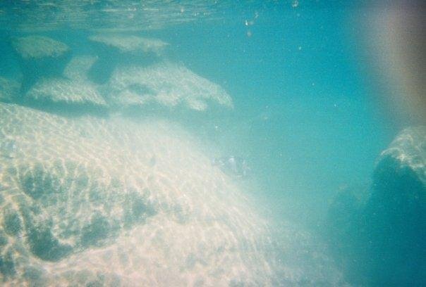 Susan Holloter's album, Vacation 08/2008