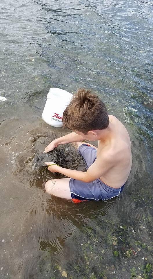 Digging clams