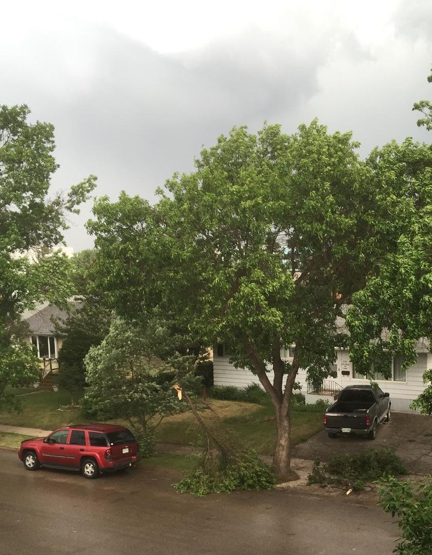 Still storming. The wind is crazy.