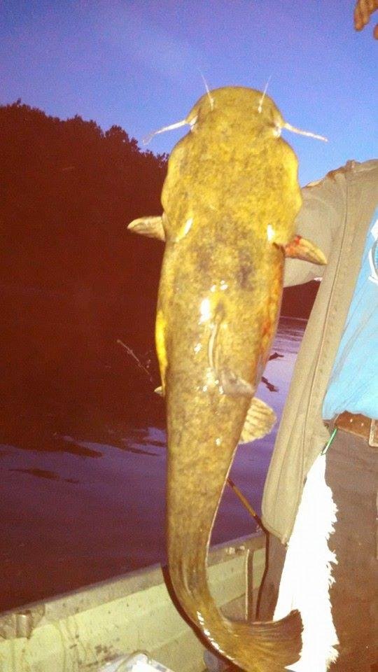 Catfish tournament in coshocton with nephew Bob