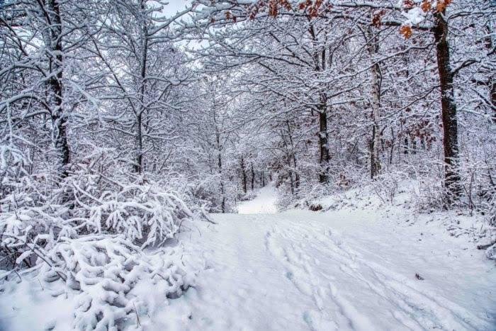 A gorgeous, snowy landscape captured by John Bleimehl.