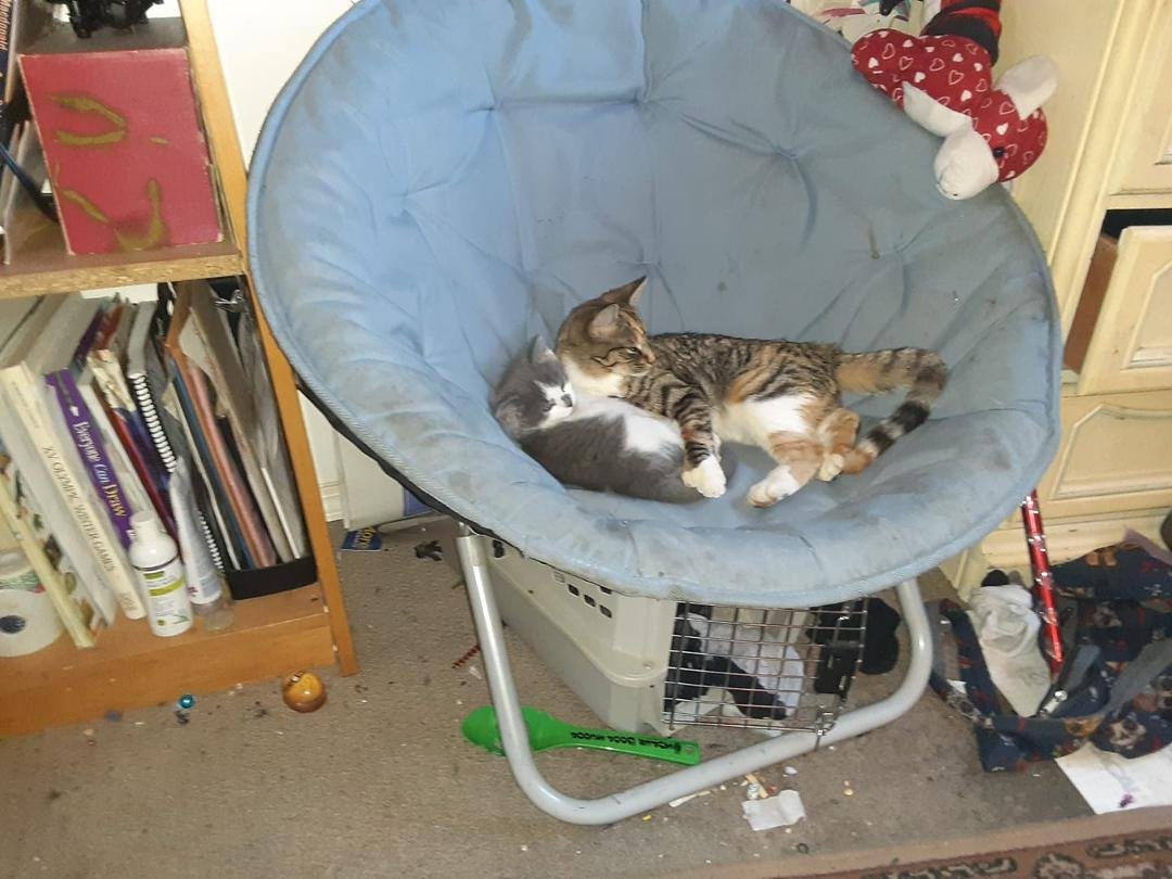 Big sis and little bro