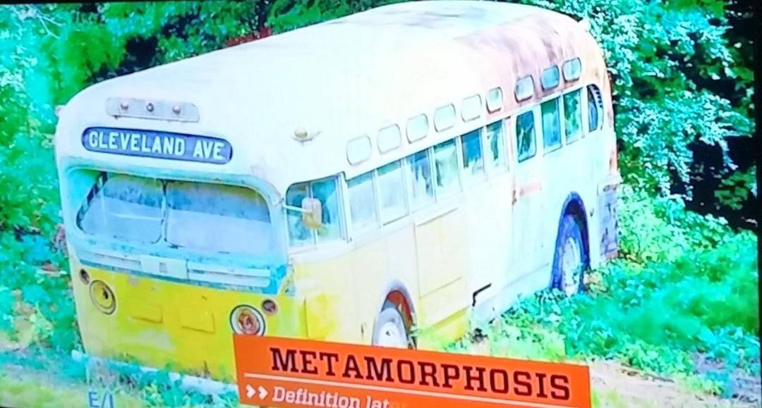 The original bus