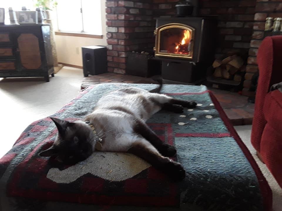 Bosco knows how to enjoy a snow day