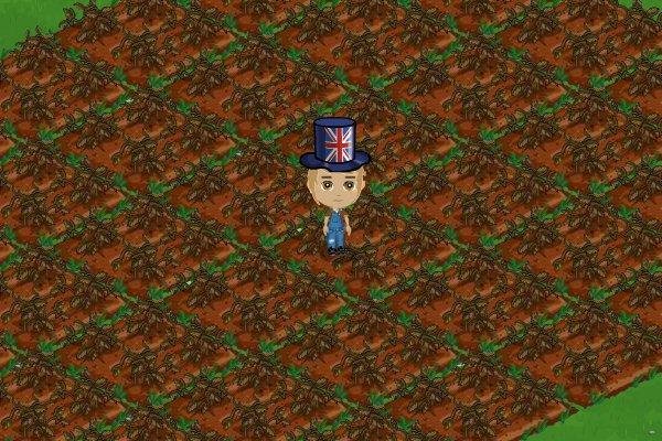 Lawrence Simon's album, FarmVille Photos