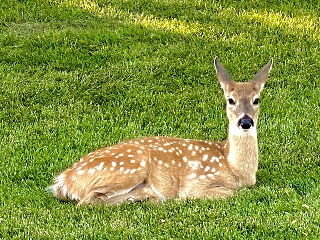 Brian took this photo near my condo. Sweet!!