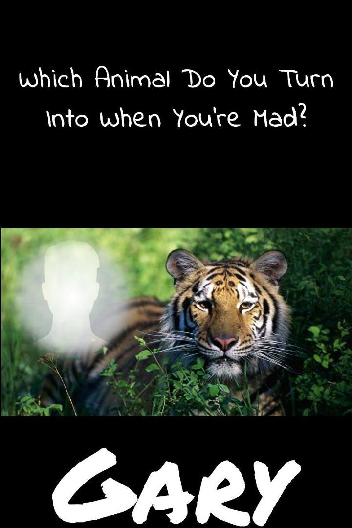 Gary Moore's album, Timeline photos