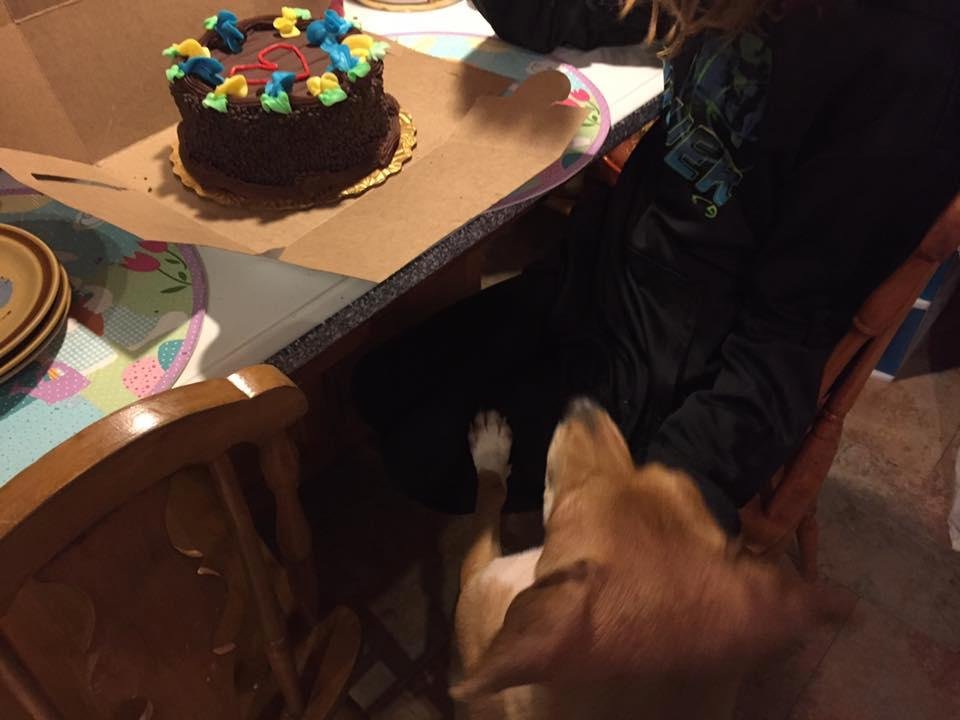 Elsa was trying to see the cake:-)
