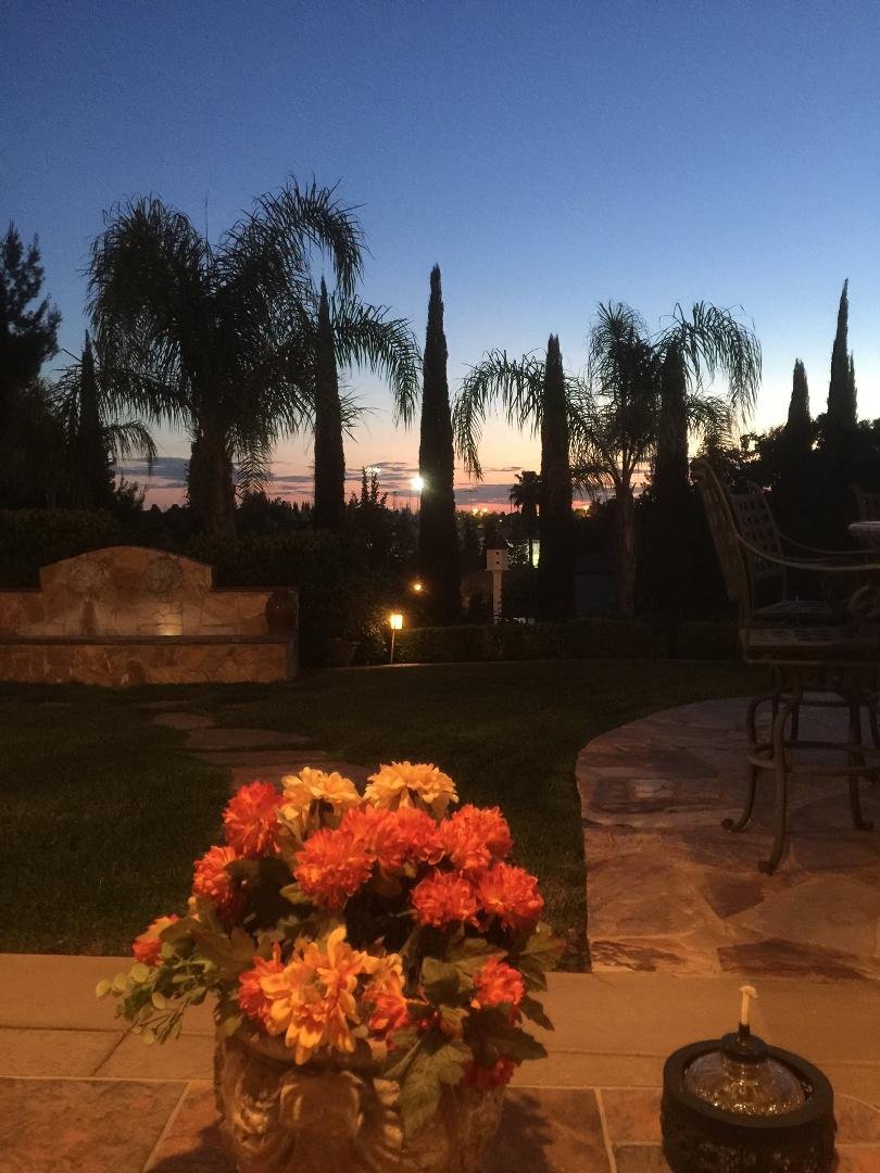 Our back yard at 8:45 pm