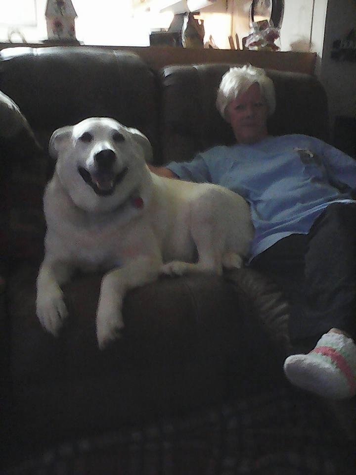 raymond senter's album, Timeline Photos