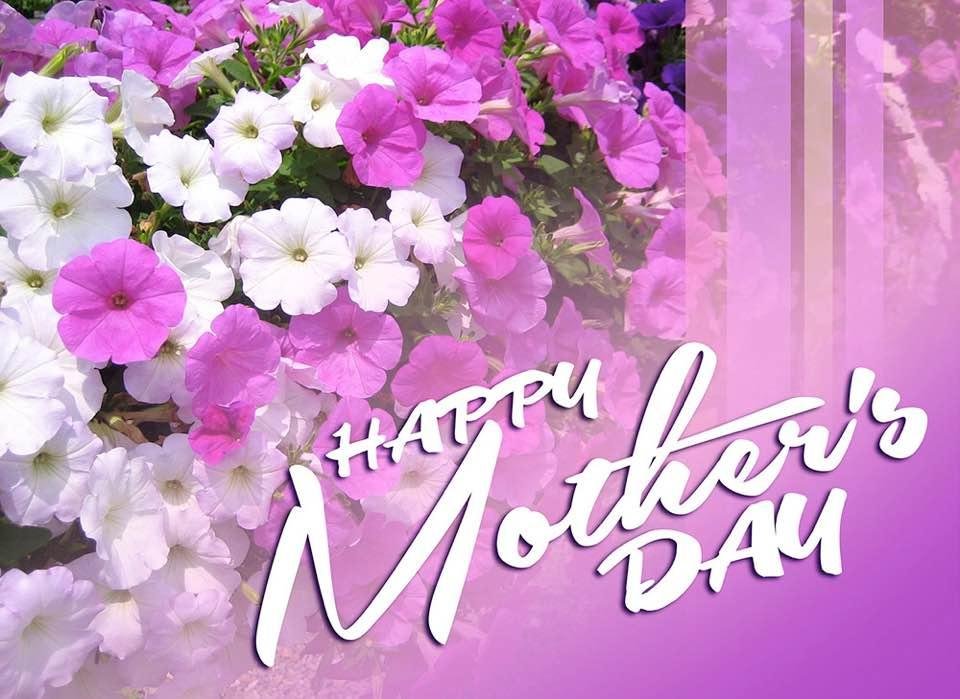 Happy Mother's Day to my sister Kathy Whitson who is the "glue" that keeps our family together.