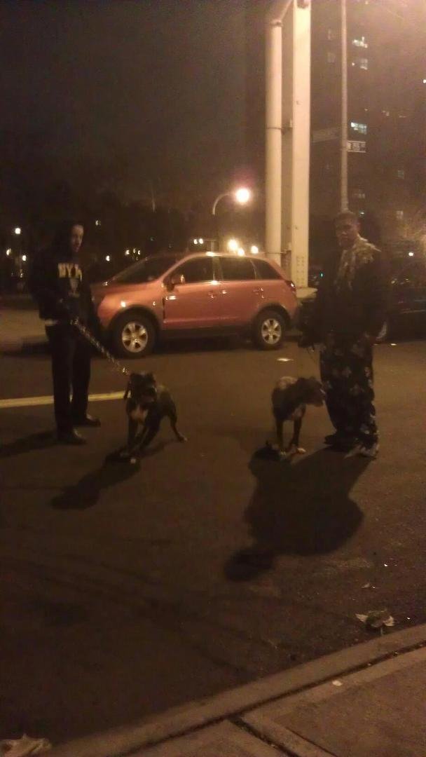 Walkin the pitts