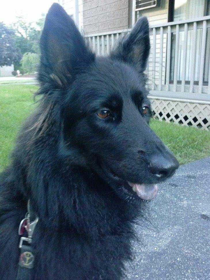 My alarm clock woke me up at 6:00am for a nice long walk this morning! It is another remarkable day :)