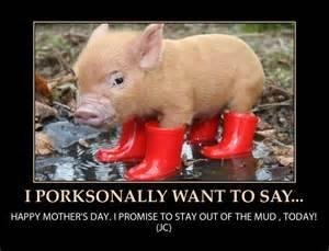Jane Bowen's album, Timeline Photos